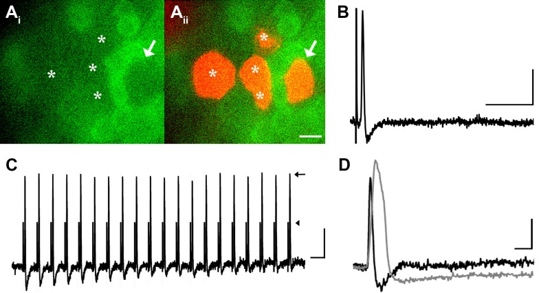 Figure 4.