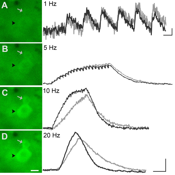 Figure 5.