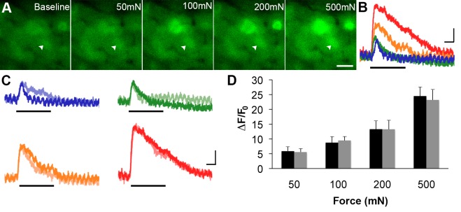 Figure 6.