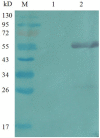 Fig. 8