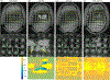 Figure 6.