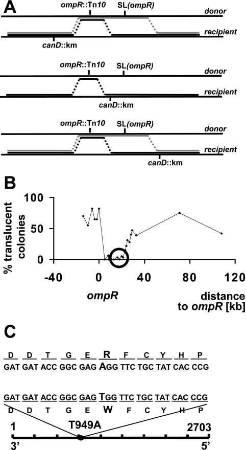 FIG. 3.