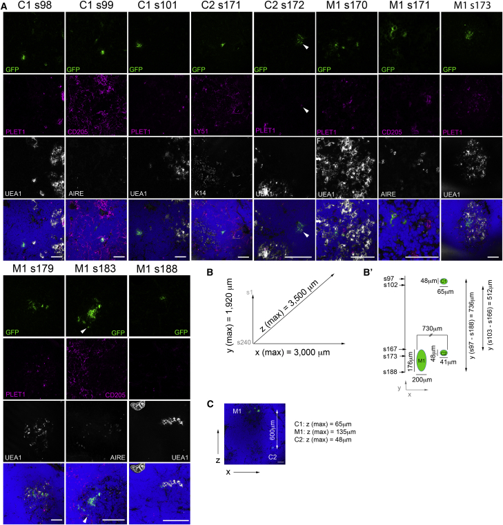 Figure 4