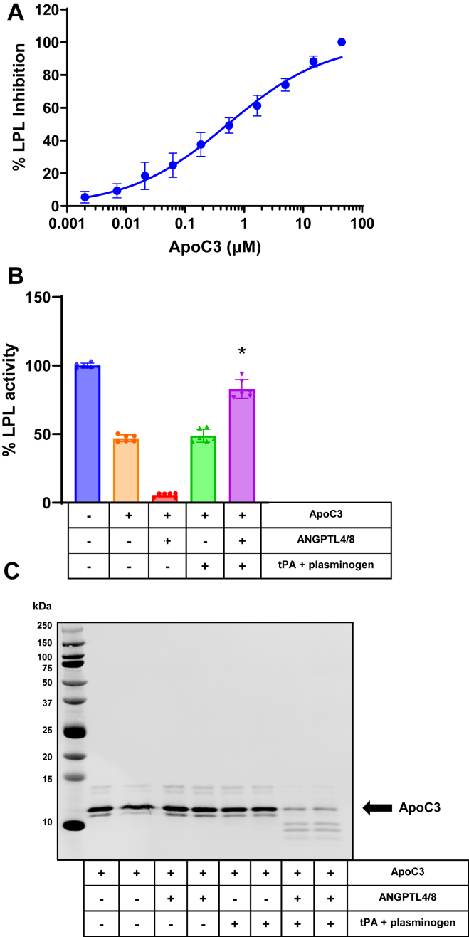 Fig. 3