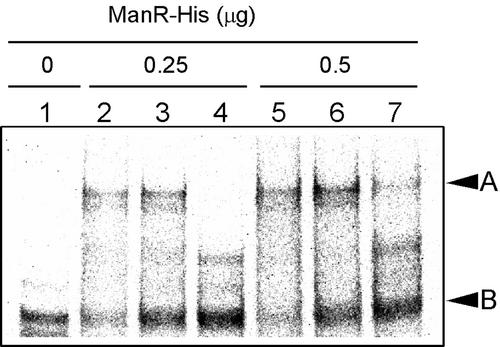 Figure 7.