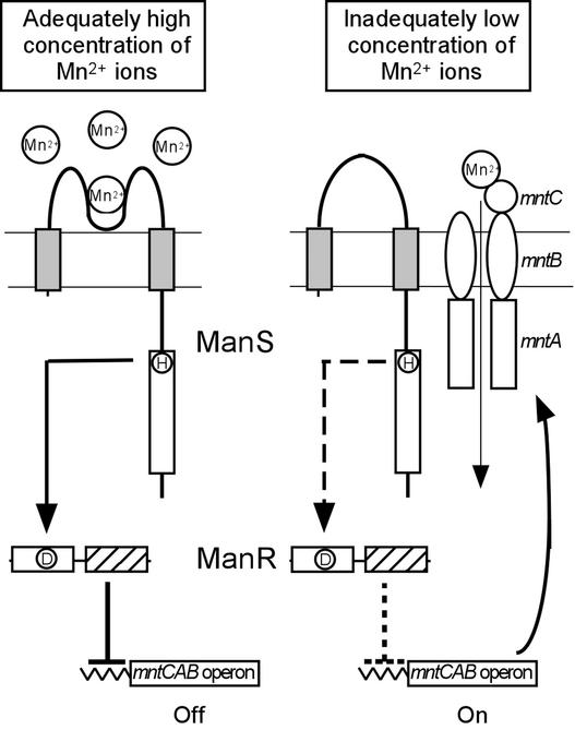 Figure 9.