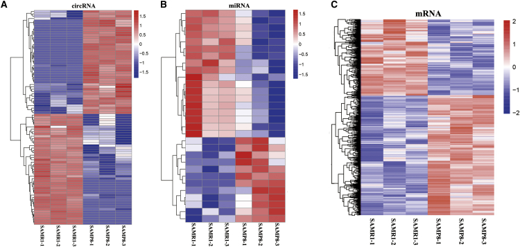 Figure 2