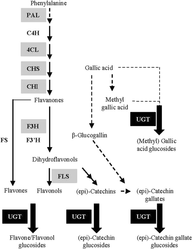 FIGURE 1