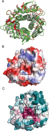 Fig. 7