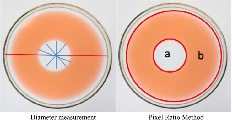 Fig. 3