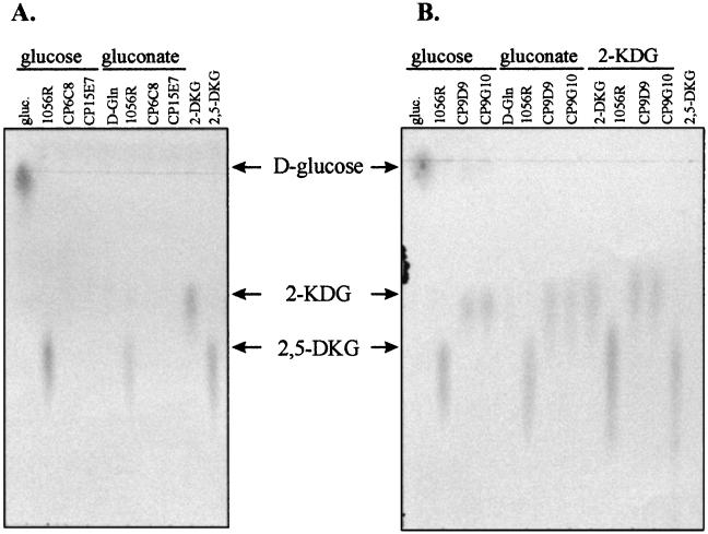 FIG. 4