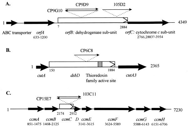 FIG. 3