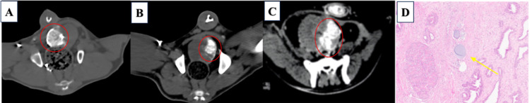 Figure 7