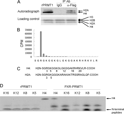 FIGURE 1.