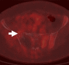 Figure 3a: