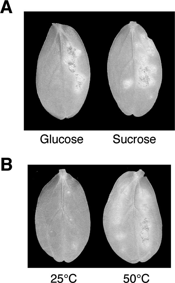 FIG. 8.