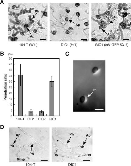 FIG. 7.