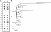 FIG. 4.