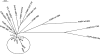 FIG. 1.