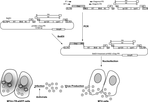 FIG. 1.