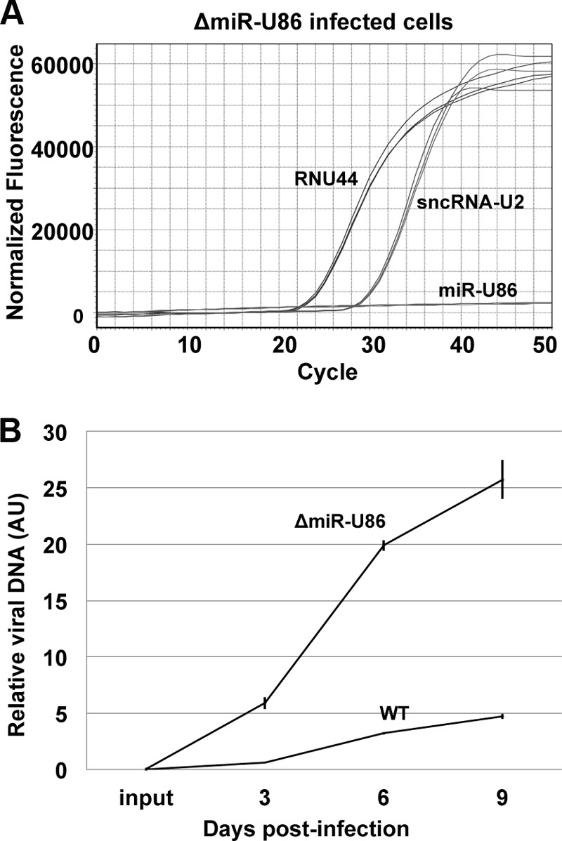 FIG 3