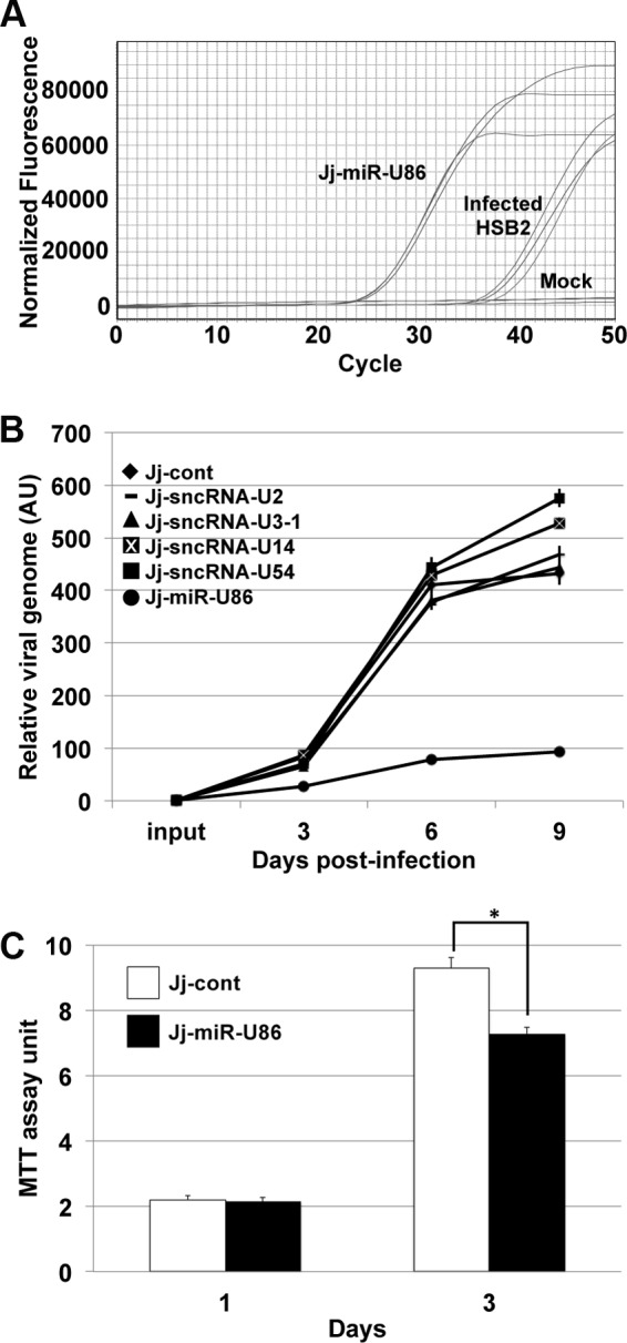 FIG 6