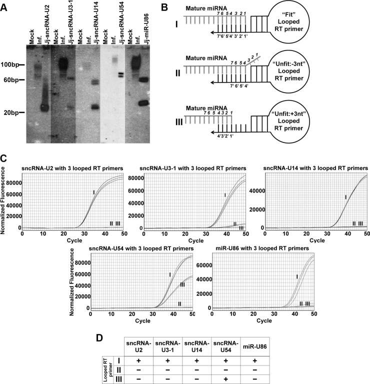 FIG 2