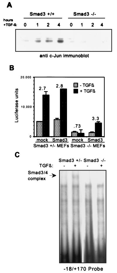 FIG. 5