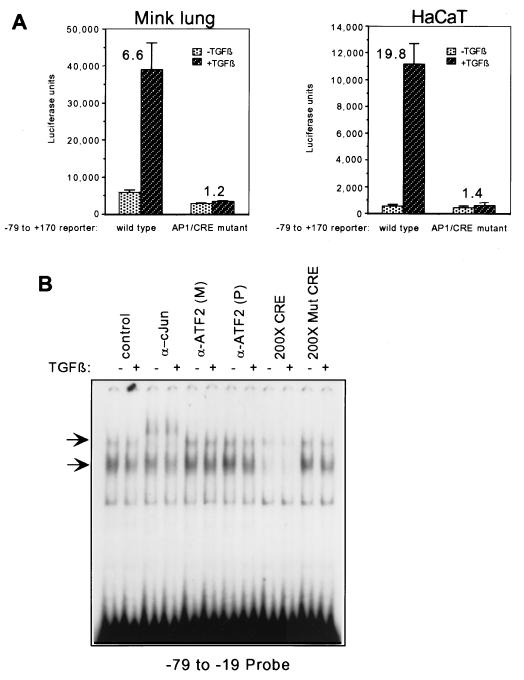 FIG. 6