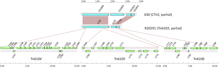 Fig. 1