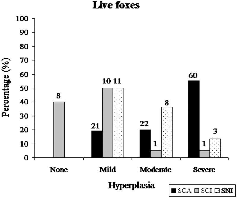 Fig 10