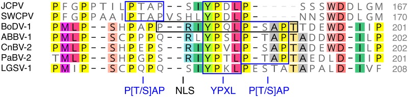 Fig 5