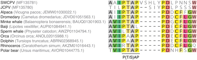 Fig 13