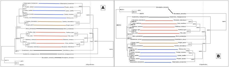 Fig 11