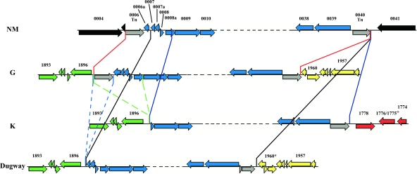 FIG. 3.