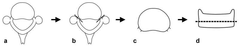 Fig. 1 a–d