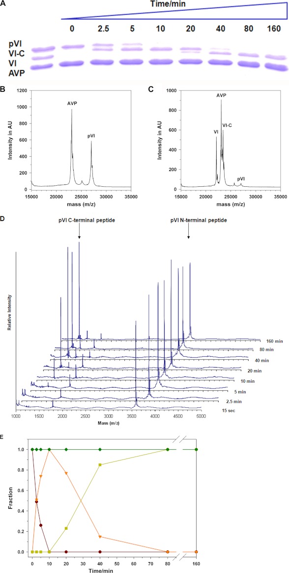 FIGURE 4.