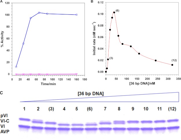 FIGURE 1.