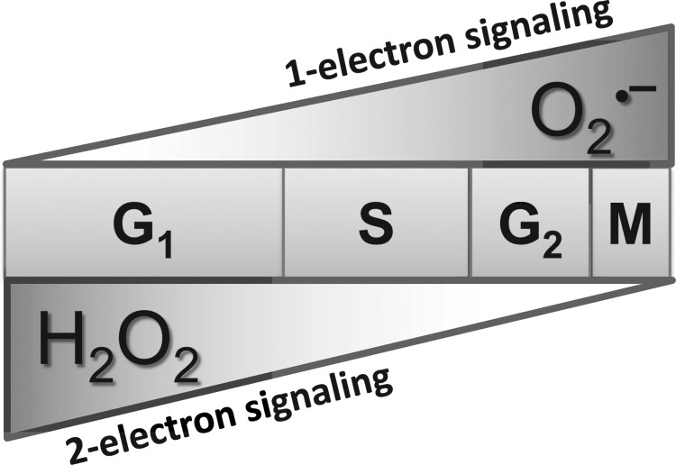 FIG. 5.