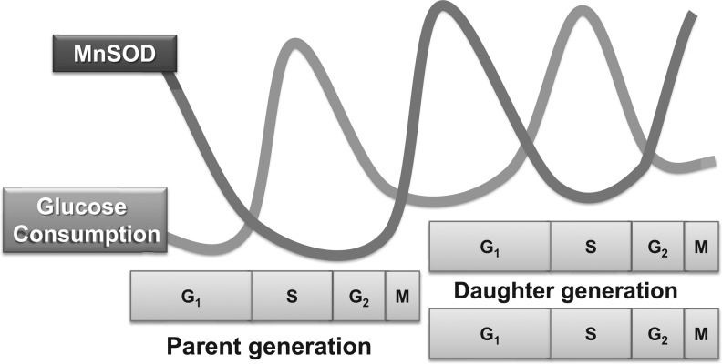 FIG. 7.