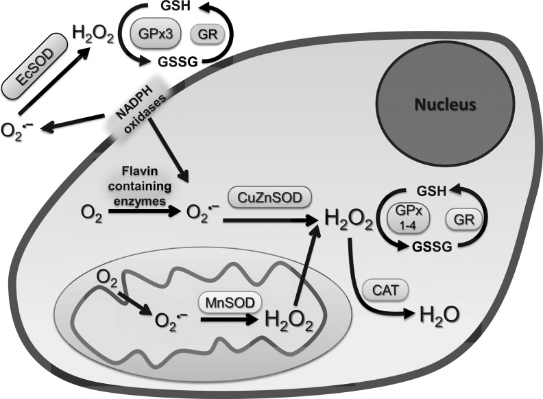 FIG. 3.