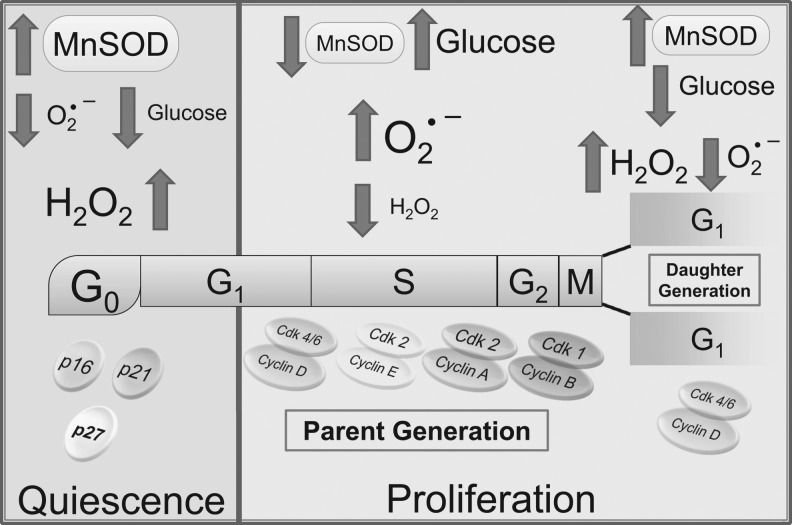 FIG. 8.