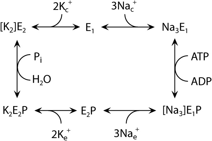 Fig. S1.