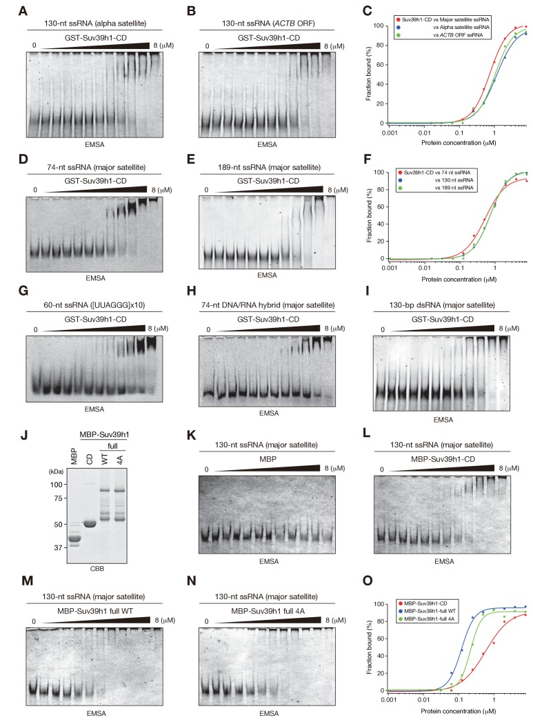 graphic file with name elife-31641-fig1.jpg