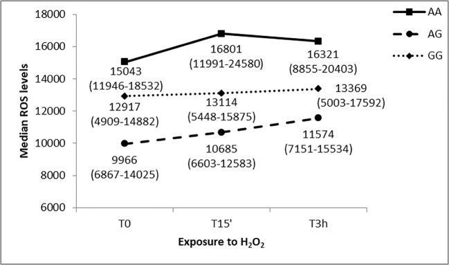 Fig. 8