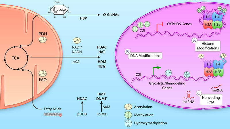 Figure 3: