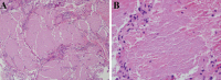 Figure 2)