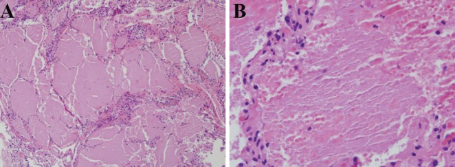 Figure 2)