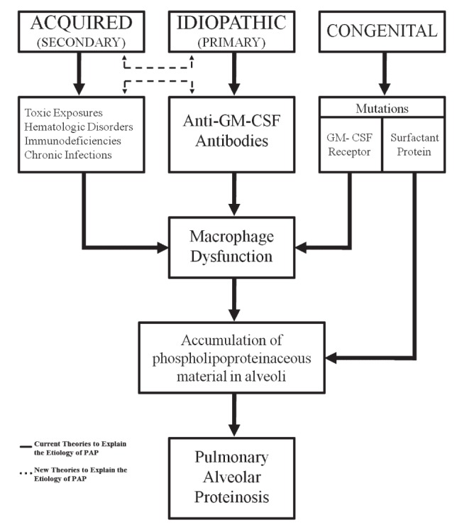 Figure 3)