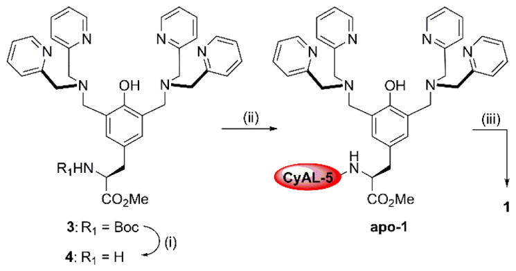 Scheme 2